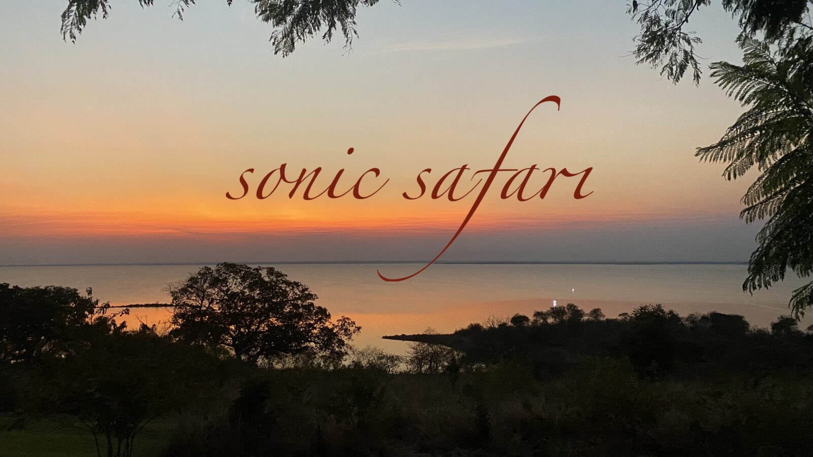 picture of Sonic Safari